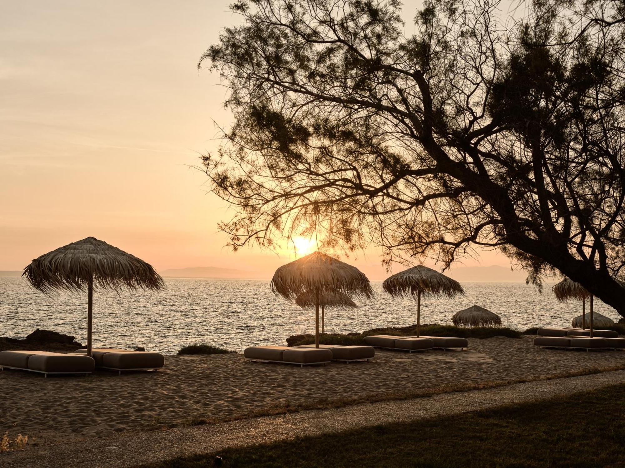 The Bay & Vasilikos (Zakynthos)